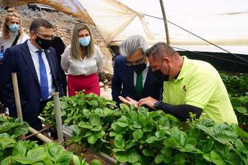 El vicepresidente del Gobierno de Canarias visita el municipio de Valsequillo/Acfi Press.